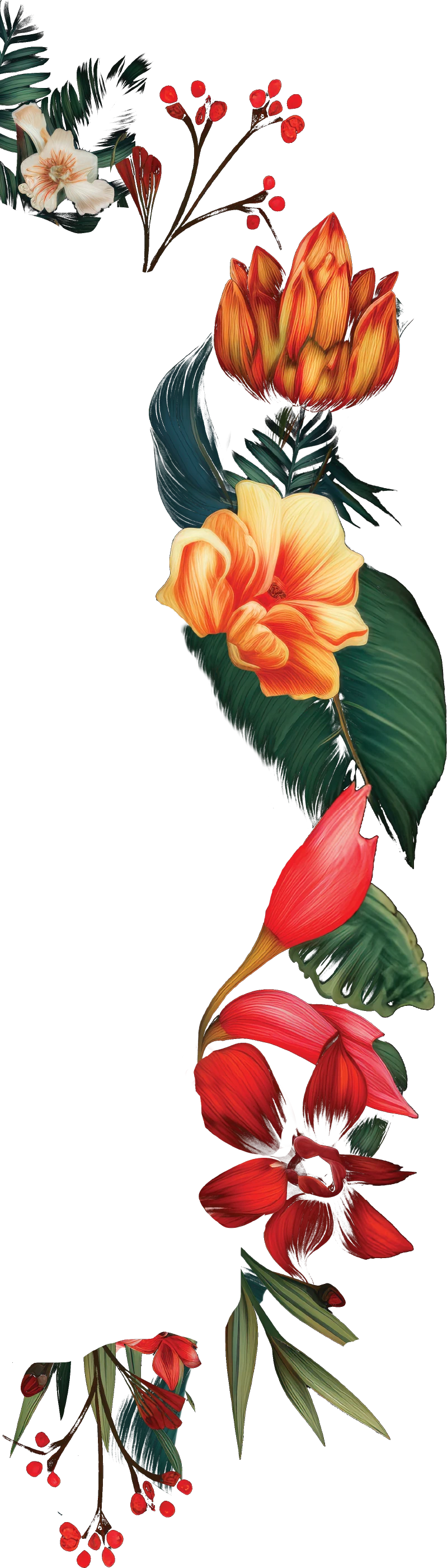 Left Floral Background